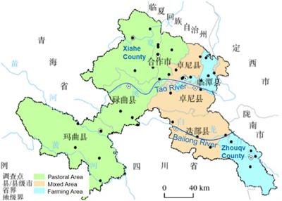 Unveiling dynamics of language visibility and vitality in café menus near Labrang Monastery